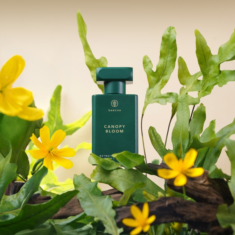 Canopy Bloom|50ml