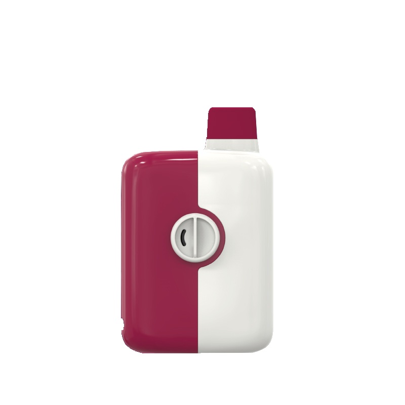 Mr Fog Switch 5500 – Mr Pepper