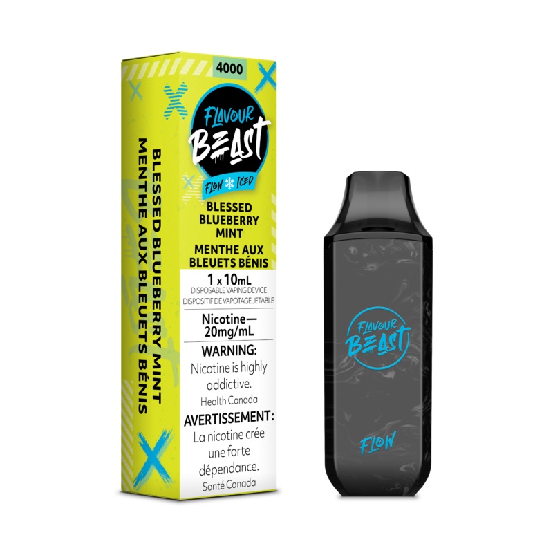 Flavour Beast 4000 – Blessed Blueberry Mint Iced