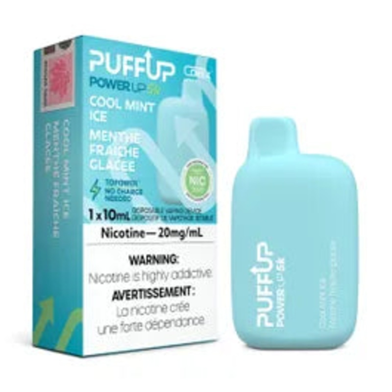 PuffUP Power Up 5K – Cool Mint Iced