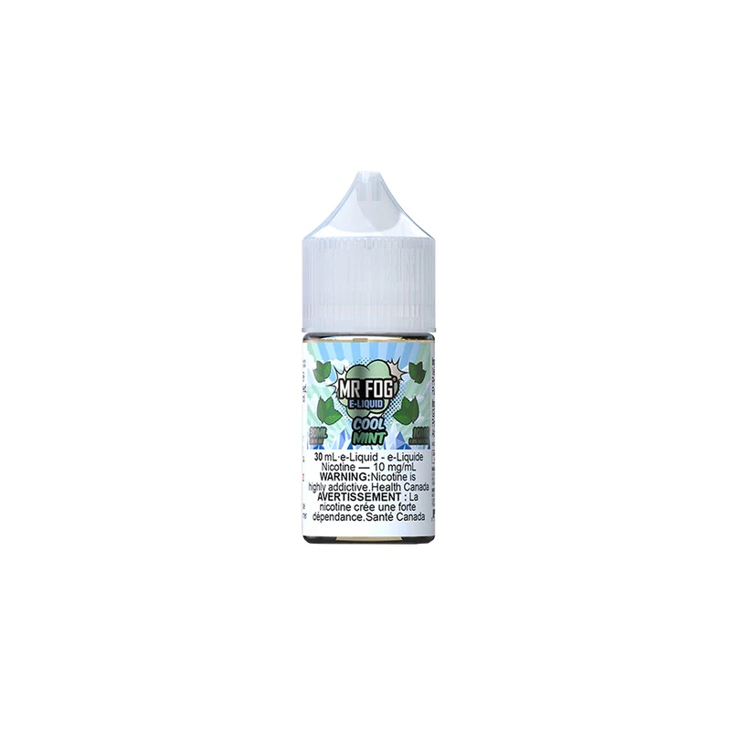 Mr Fog Salt – Cool Mint|30 mL|20 mg|10 mg