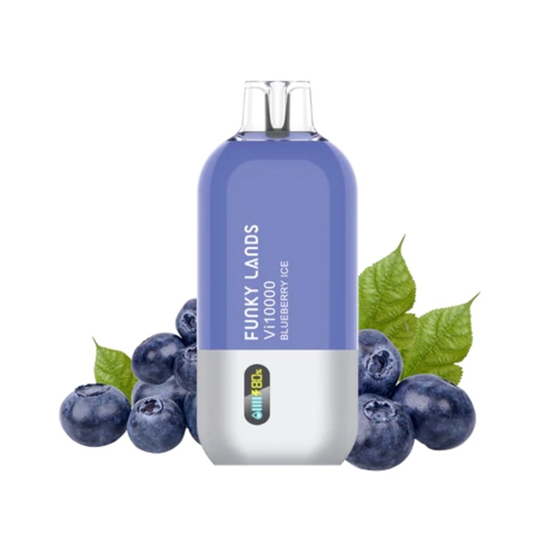 Funky Lands VI10000 – Blueberry Ice