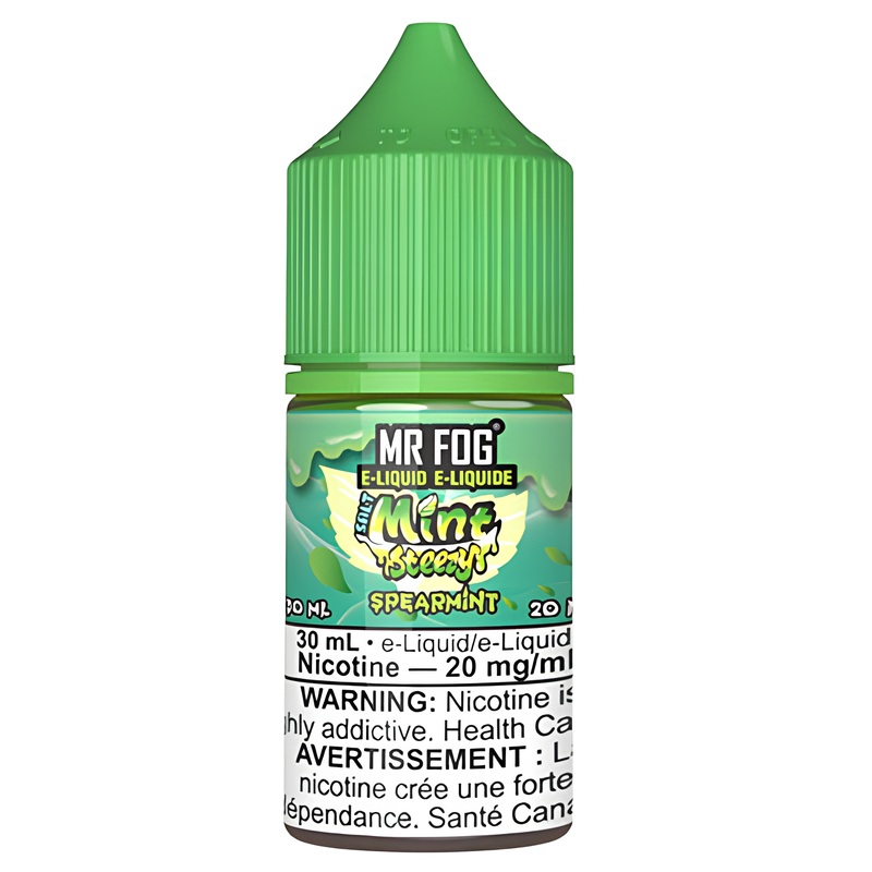 MINT STEEZY SPEARMINT – MR FOG SALT 30ML