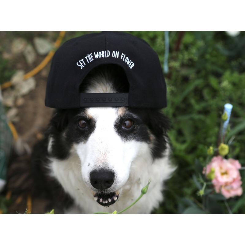 Casquette Floramama
