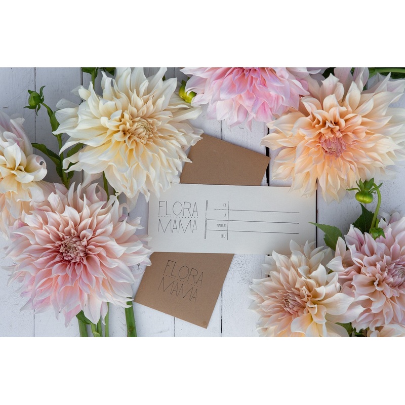 Carte-cadeau boutique en ligne
