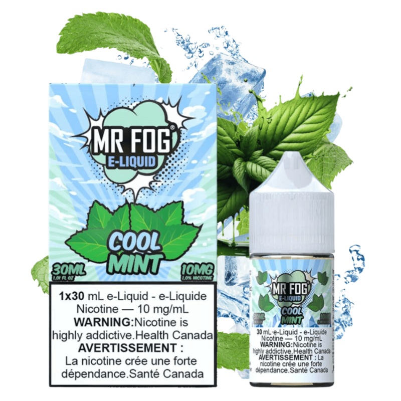 Mr. Fog Salt-Cool Mint-30ml|30ml|20mg