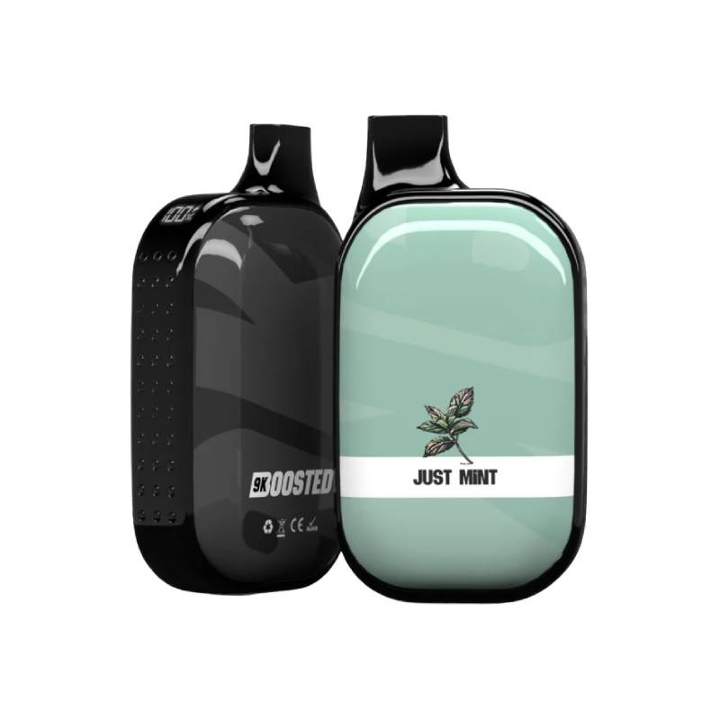 Boosted Bar 9K Disposable Vape – Just Mint, 18ML