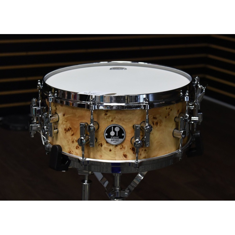 Artist Snare