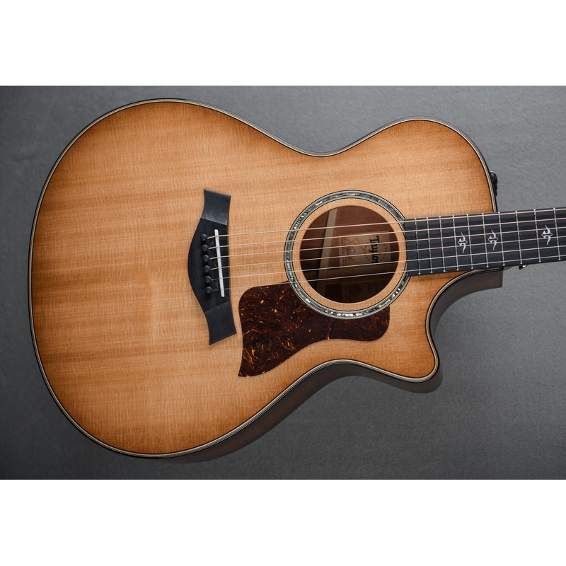 512CE – Urban Ironbark