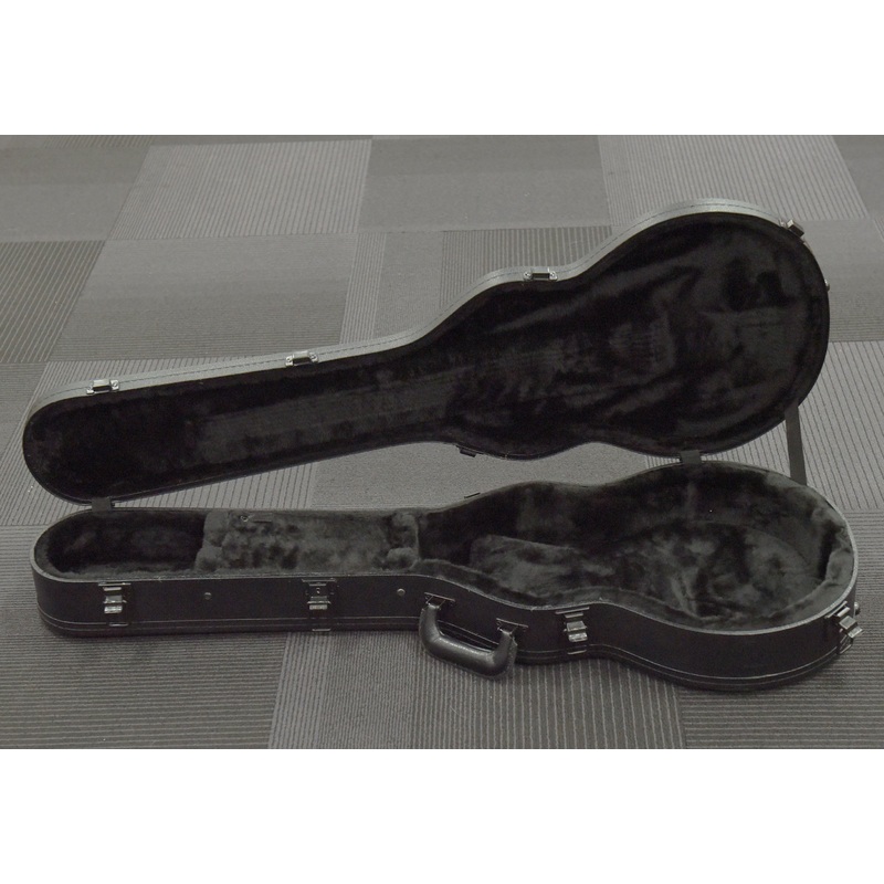 Les Paul Case – Black, Recent
