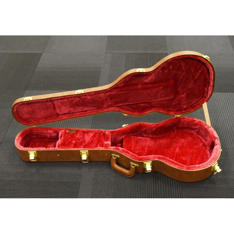 USA Les Paul Case, Recent