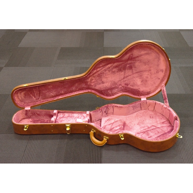 Lifton Historic ES-335 Case, Recent