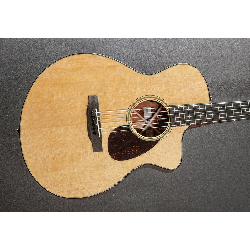 SC-18E w/Fishman Aura VT Blend