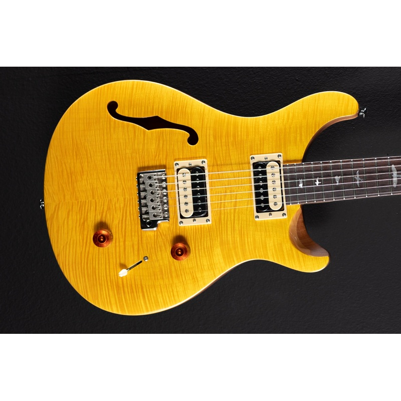 SE Custom 22 Semi-Hollow ’21