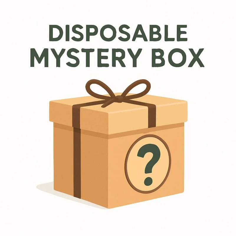 Disposable Vape Mystery Box  4 Pack