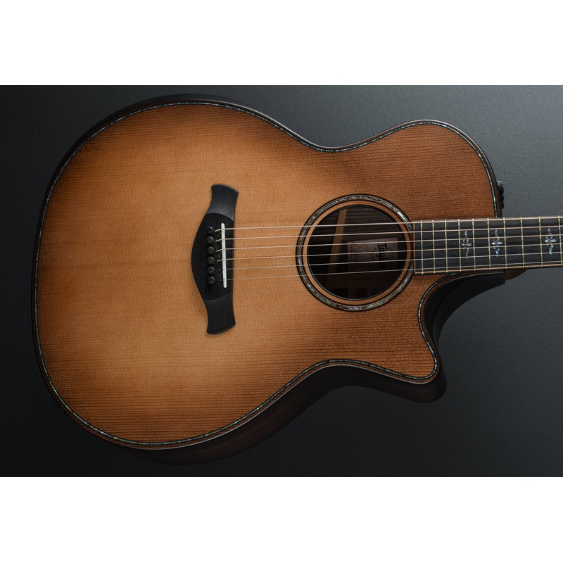 Builder’s Edition 914CE – Wild Honey Burst