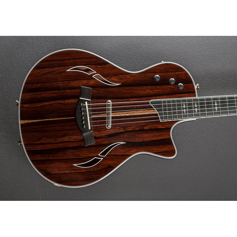 Custom T5Z Rosewood ’16
