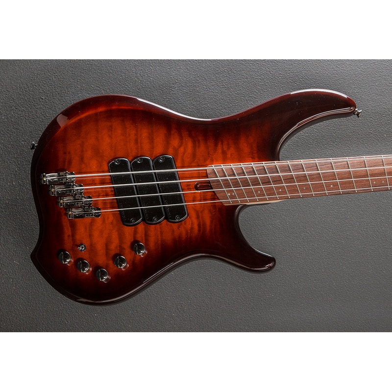 Combustion 4 Bass, Recent