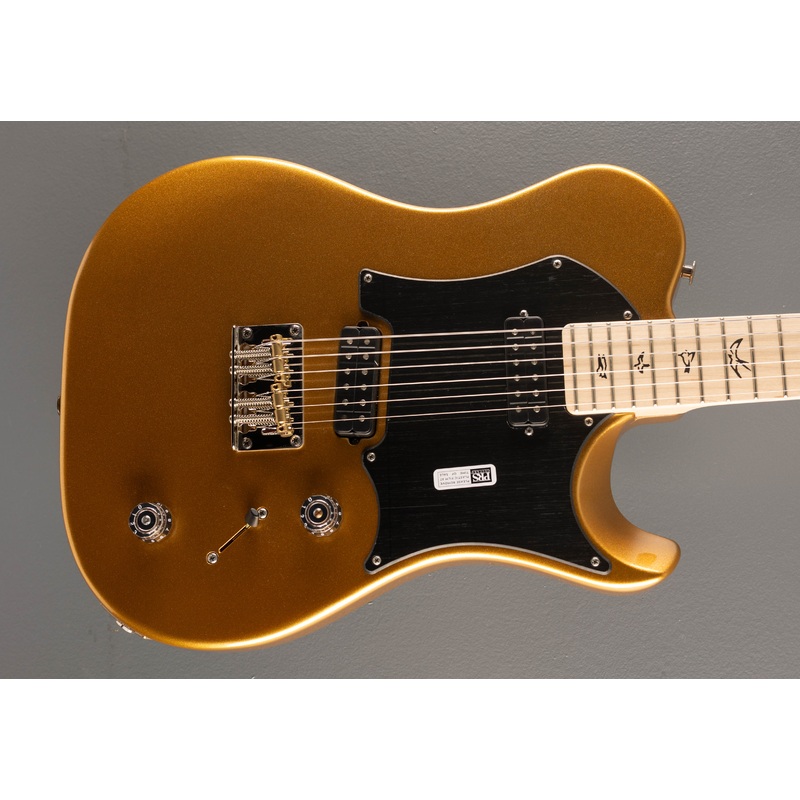 Myles Kennedy – Egyptian Gold Metallic