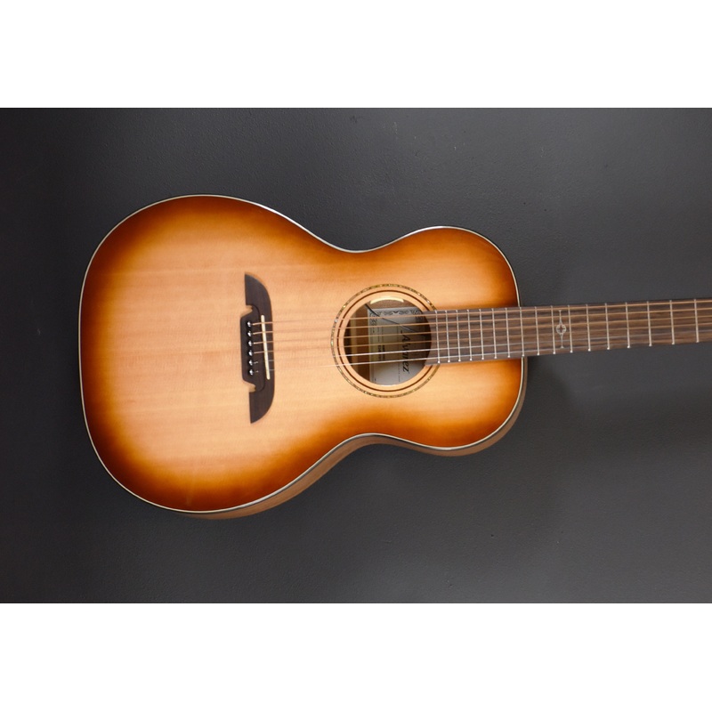 AMP610 Parlor Acoustic/Electric, Recent