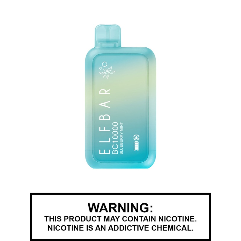Blueberry Mint by Elf Bar BC10000 Disposable Vape
