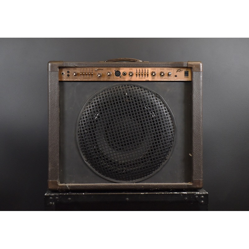Ecoustic 112, Recent