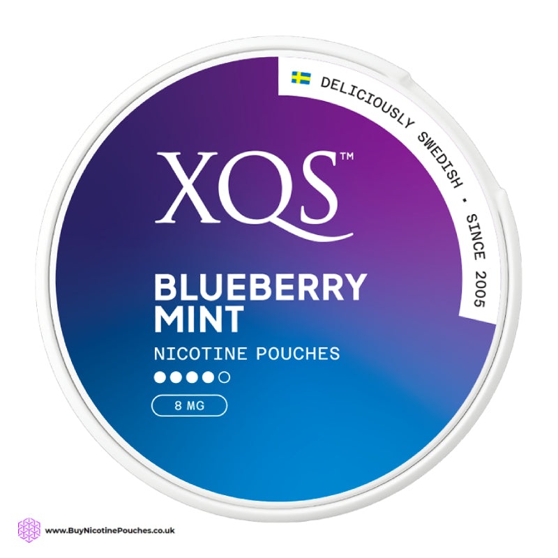 Blueberry Mint Nicotine Pouches by XQS