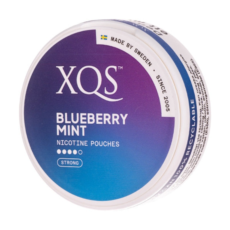 XQS – Blueberry Mint Strong (8mg)