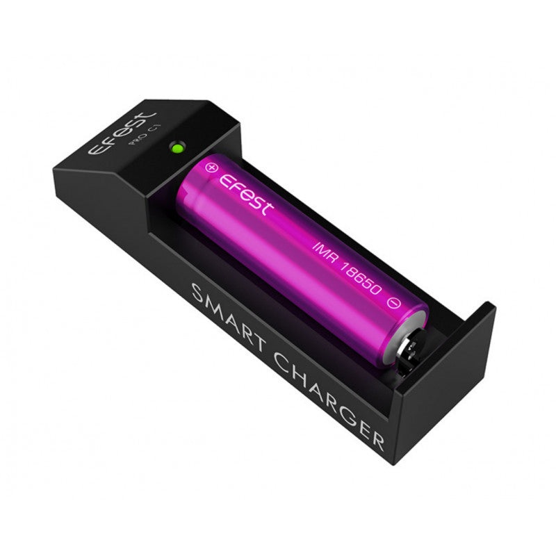 Pro Smart C1 Single Bay Charger