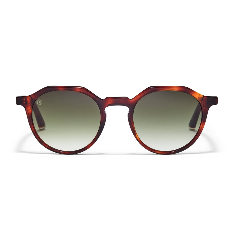 Oxford Sunglasses in Brown Tortoiseshell