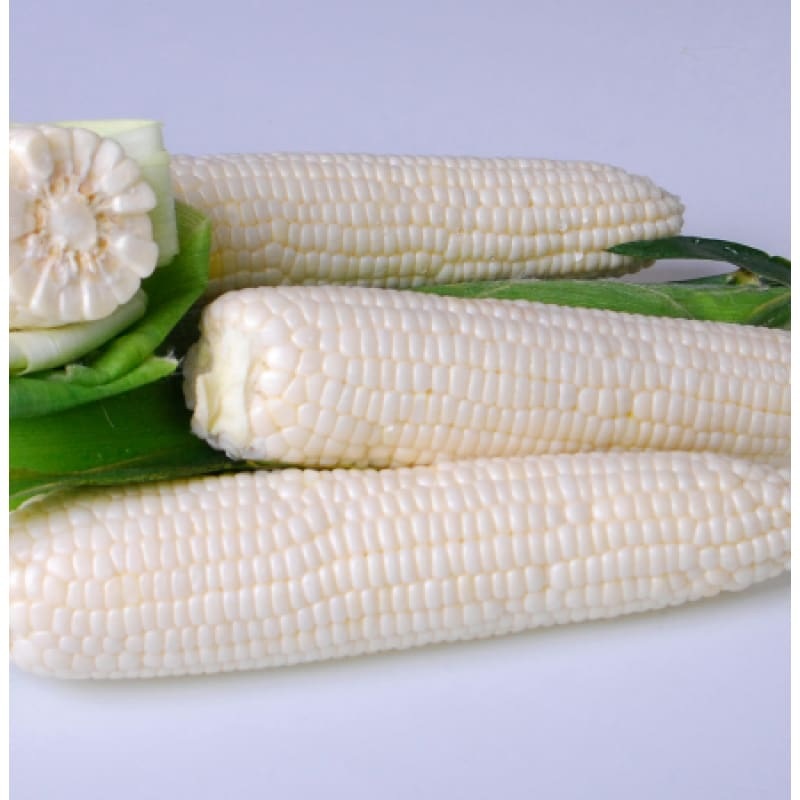 Argent Corn (F1 Hybrid, 86 Days) SE
