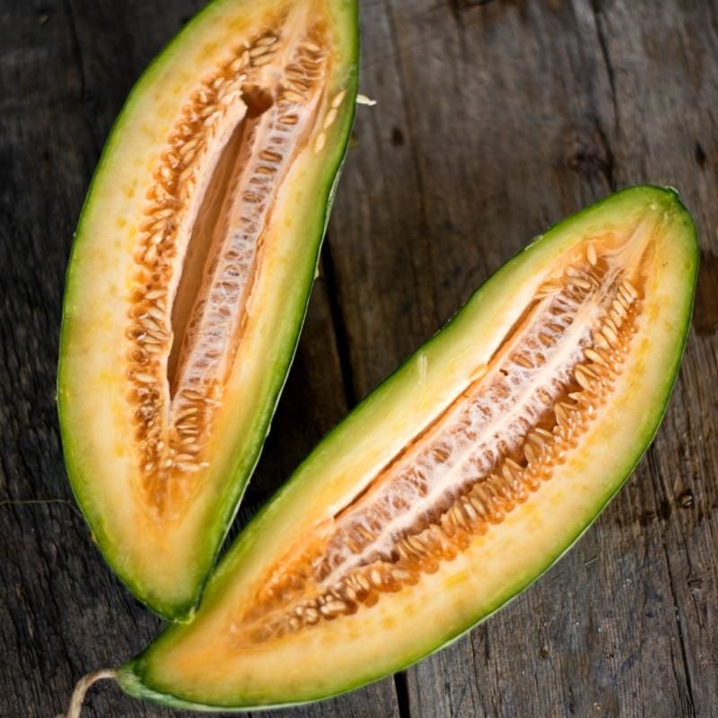 Banana Melon (Heirloom 80 Days)