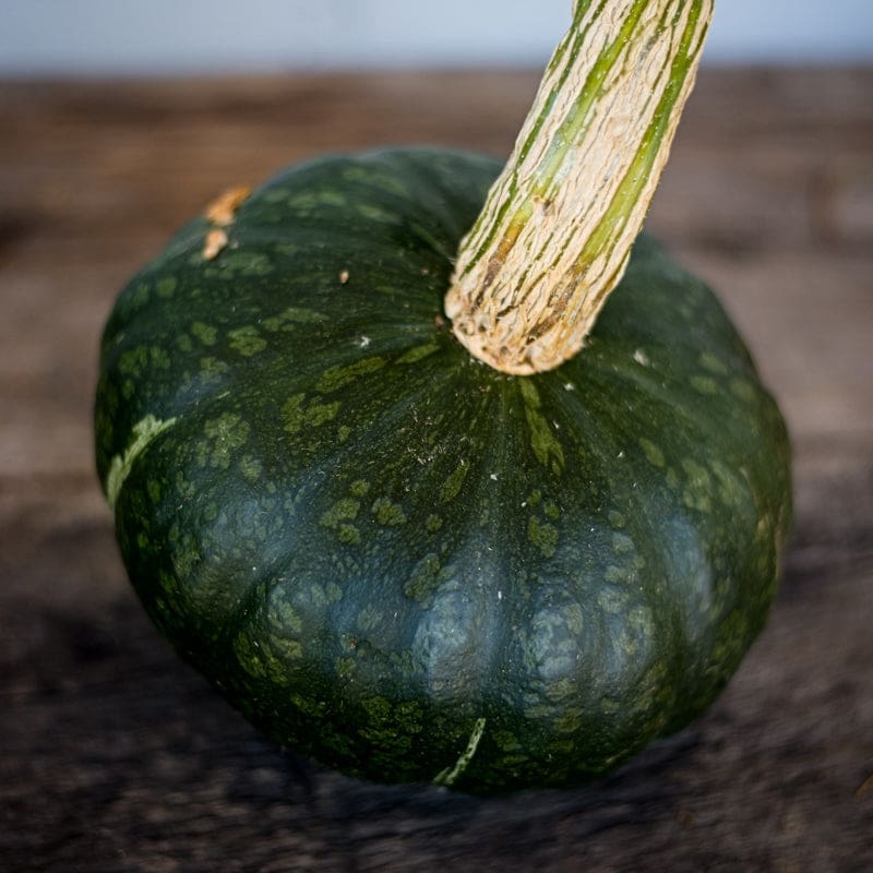 Burgess Buttercup Squash (Heirloom, 100 Days)