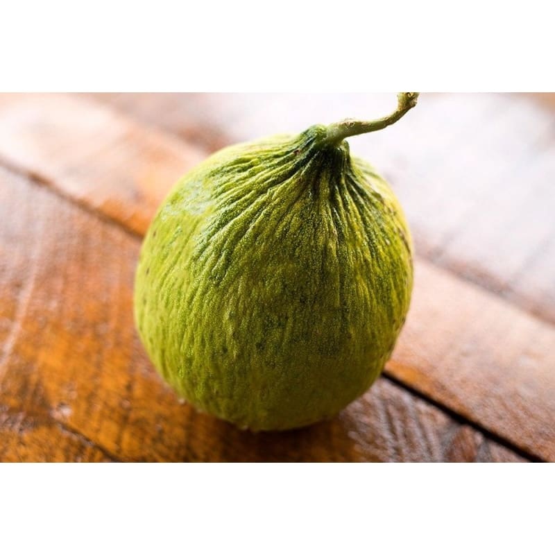 Casaba Golden Beauty Melon (110-120 Days)