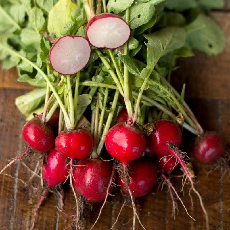 Cherry Belle Radish (Heirloom 21 Days)