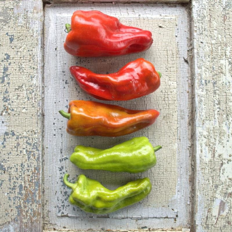 Cubanelle Pepper (65 Days)
