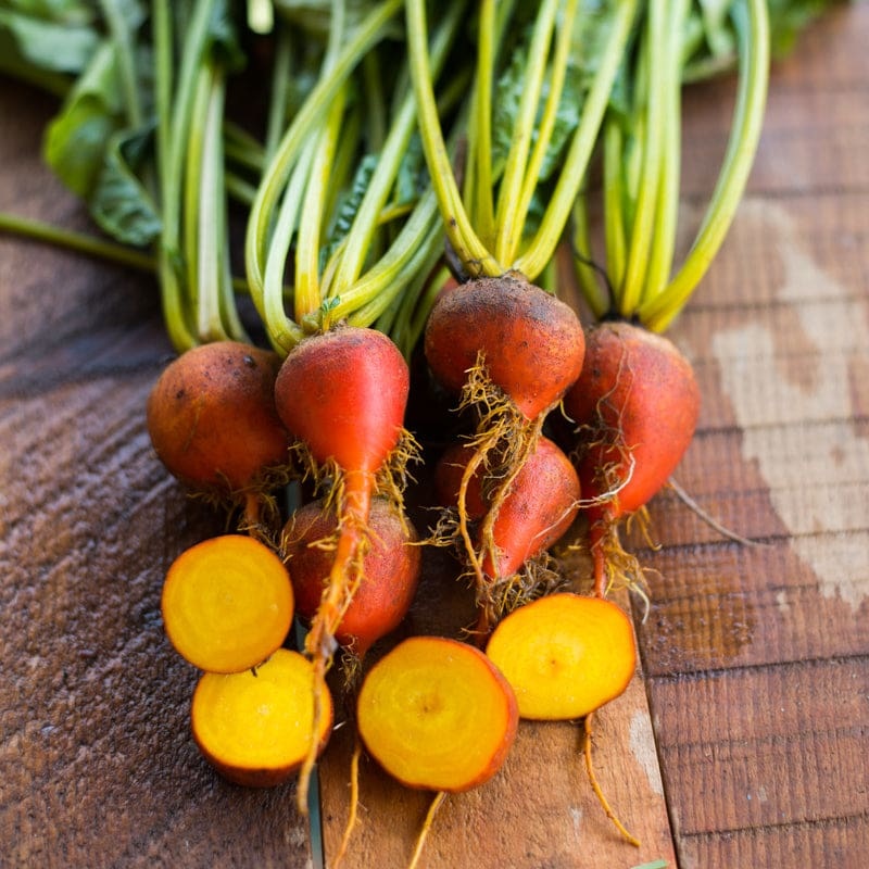 Golden Beet (Heirloom, 55 Days)