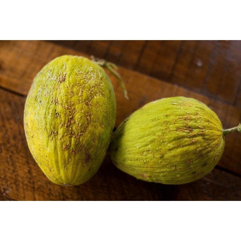 Juane Canary Melon (80-90 Days)