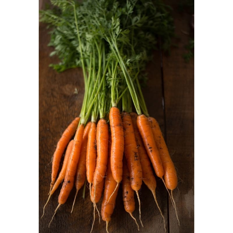 Napoli Carrot (F1 Hybrid, 66 Days)
