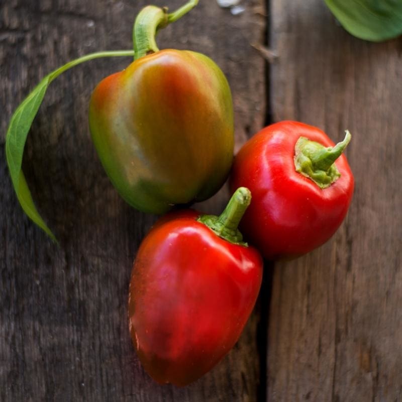 Pimento Pepper (75 Days)