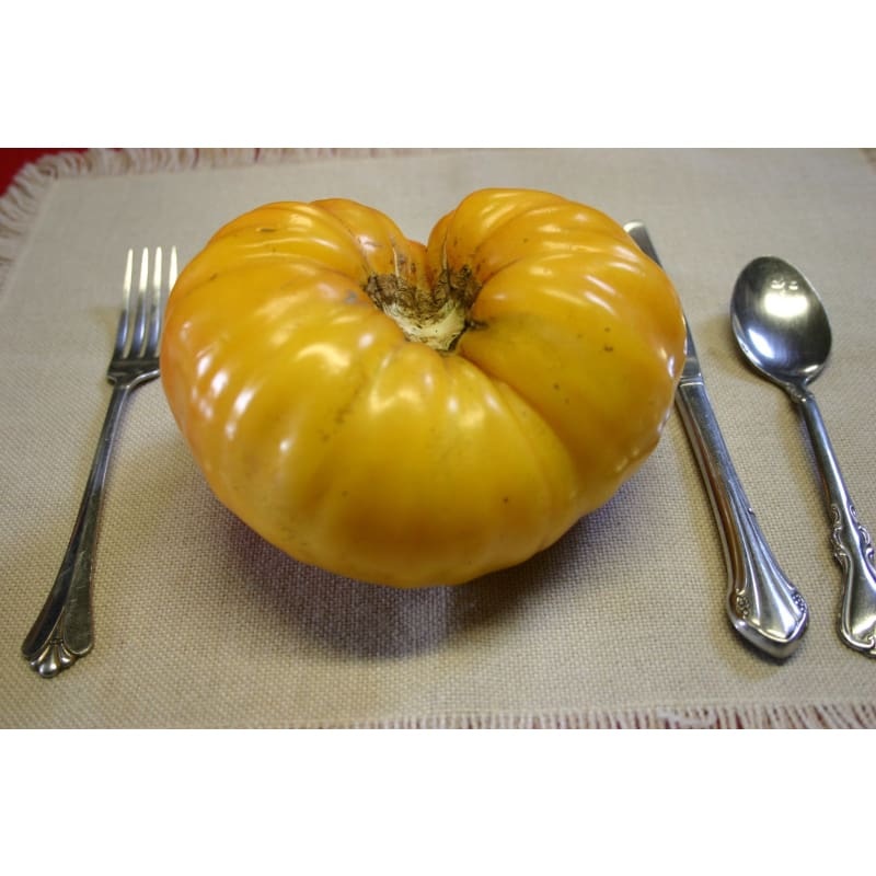 Pineapple Tomato (Heirloom, 85 Days)