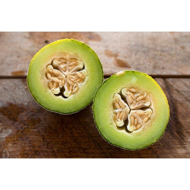 Rocky Ford-Green Flesh Melon (Heirloom, 75 Days)