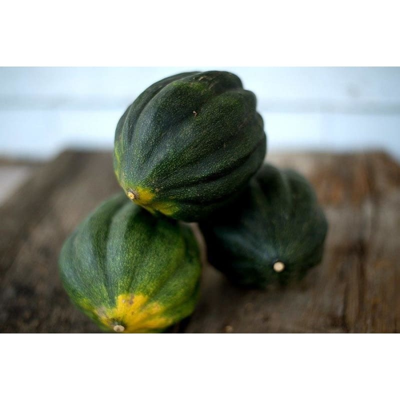 Table Princess Winter Squash (F1 Hybrid, 75 Days)