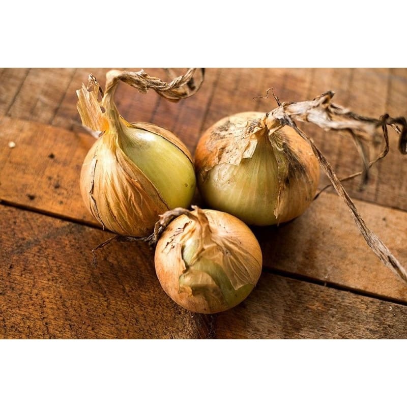 Walla Walla Onion Seeds (105 Days)