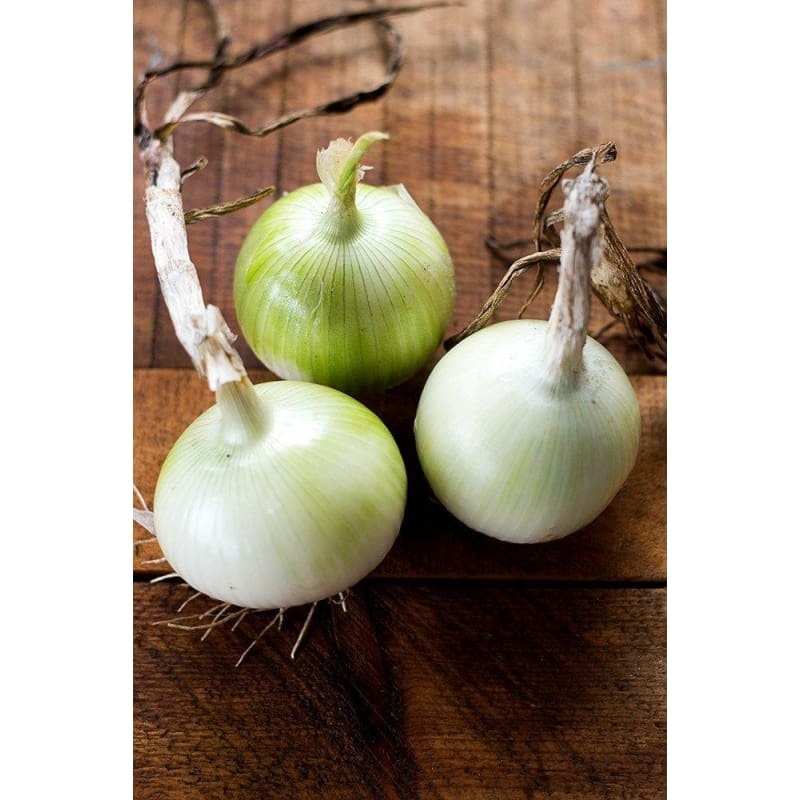 White Sweet Spanish Onion (110 Days)