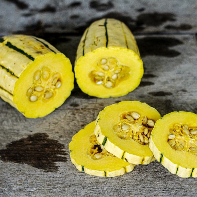 Bush Delicata Squash (80 Days)