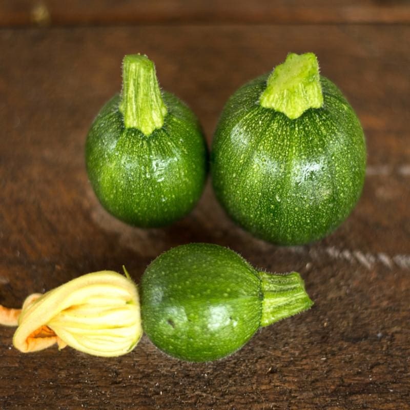 Eightball Zucchini Summer Squash (F1 Hybrid 35 Days)
