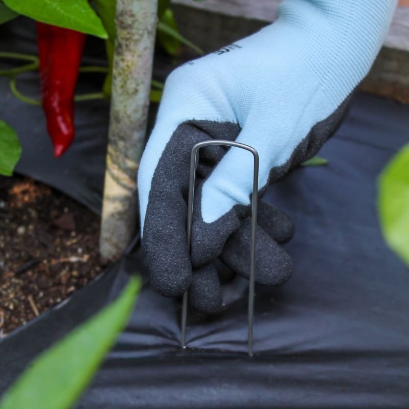 Garden Staples (40)|Default