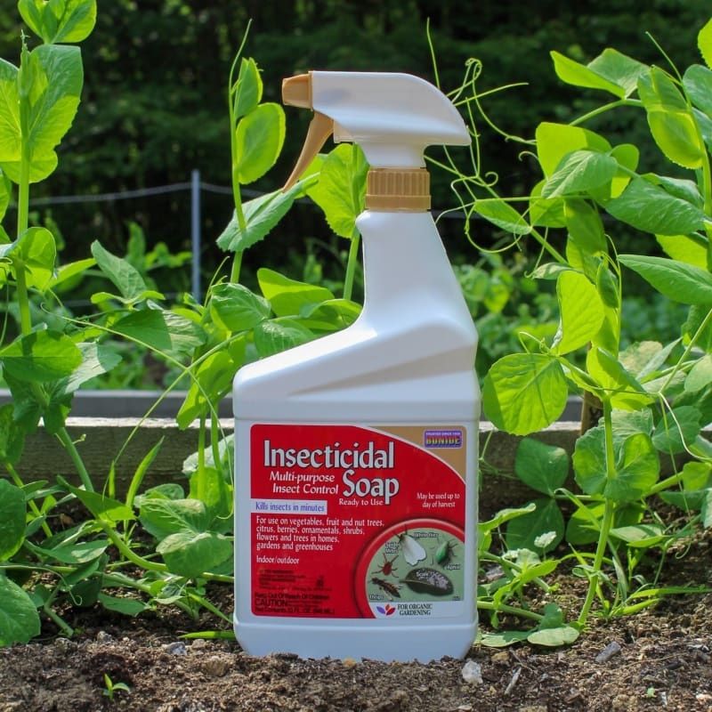 Insecticidal Soap Spray (32 OZ)