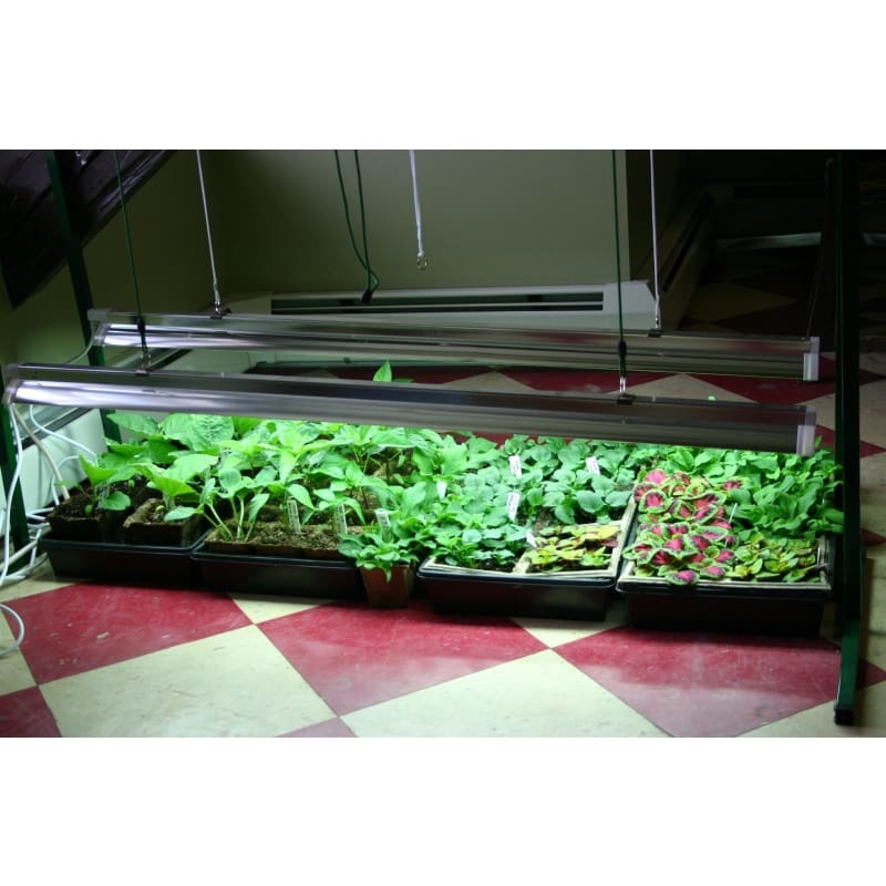 Jumpstart Grow Light System with Timer (4 FT)